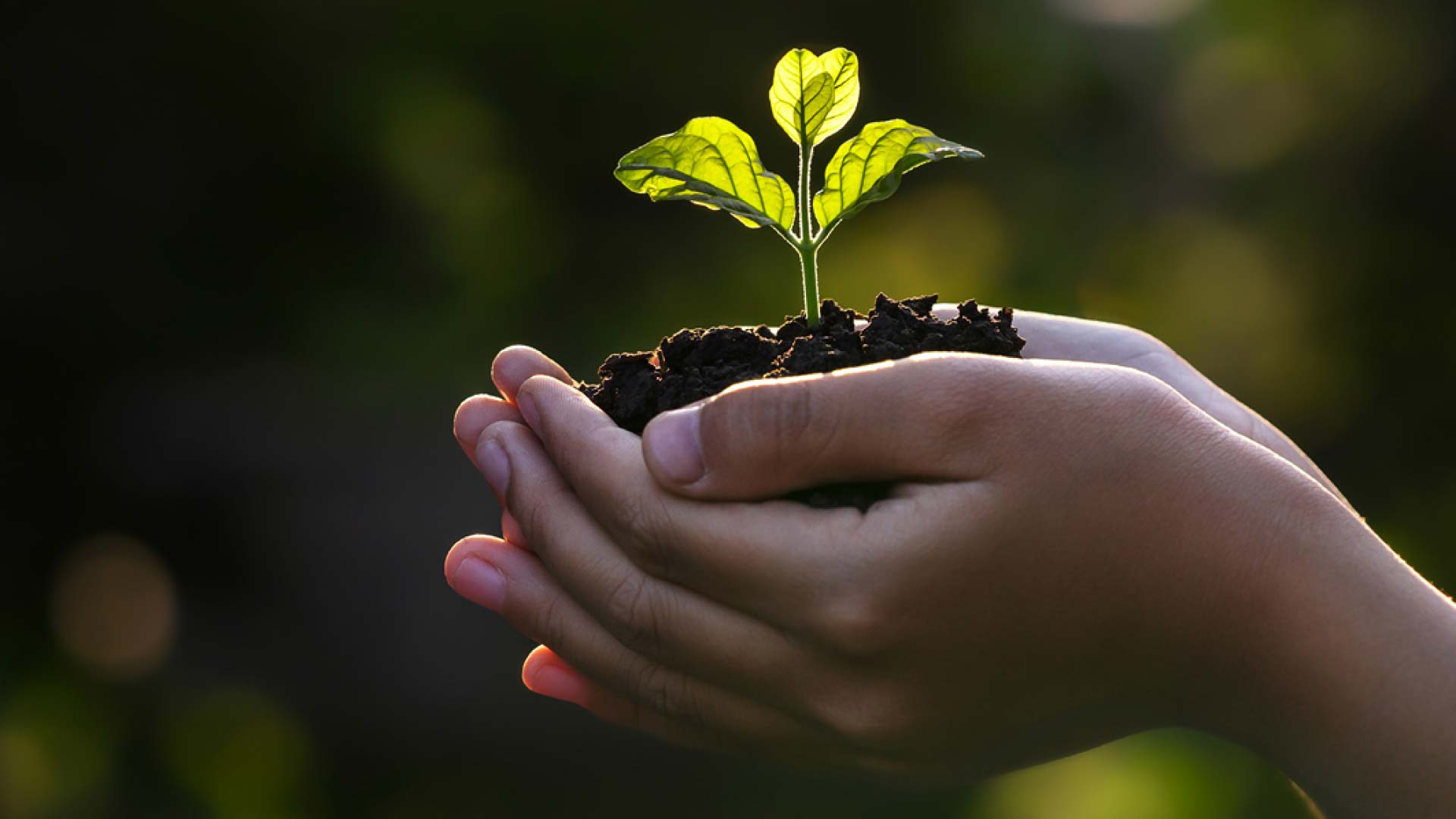 John Paul Construction - Sustainability Report